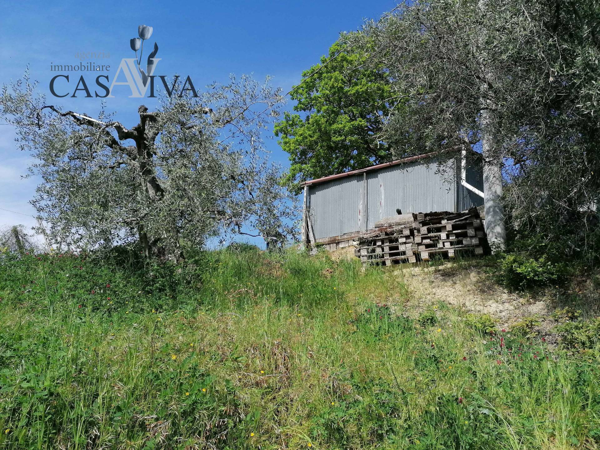 immagine annuncio 5 di 15