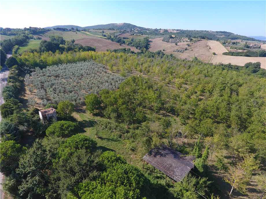 immagine annuncio 9 di 14