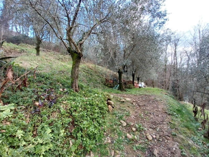 immagine annuncio 2 di 5