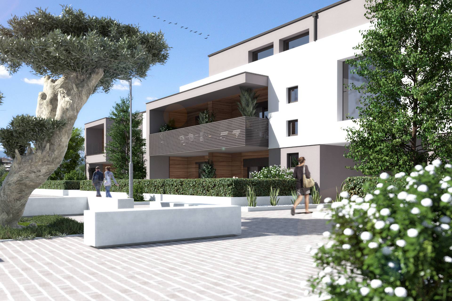 immagine annuncio 6 di 9