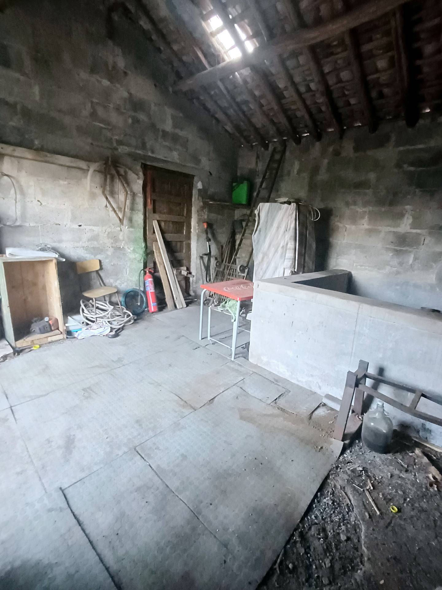 immagine annuncio 1 di 14