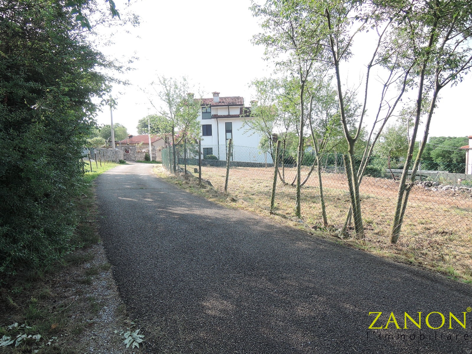 immagine annuncio 5 di 6