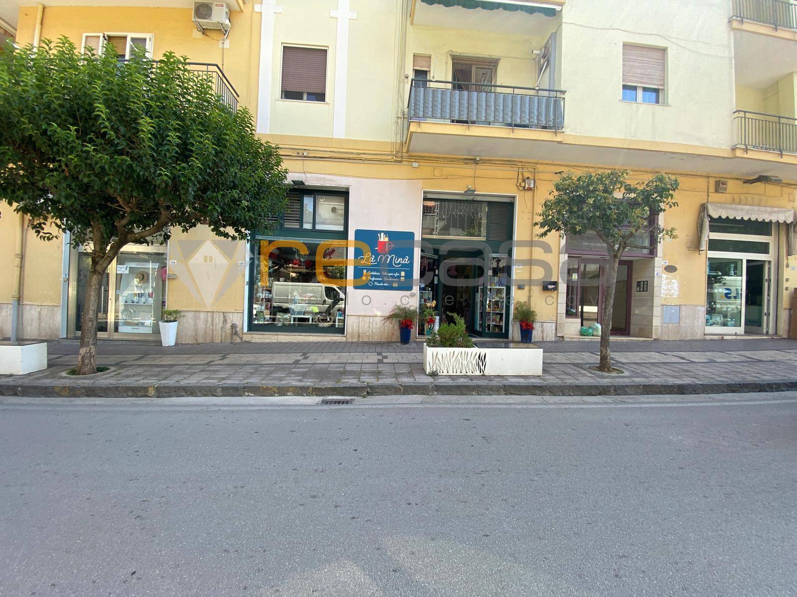 immagine annuncio 2 di 8