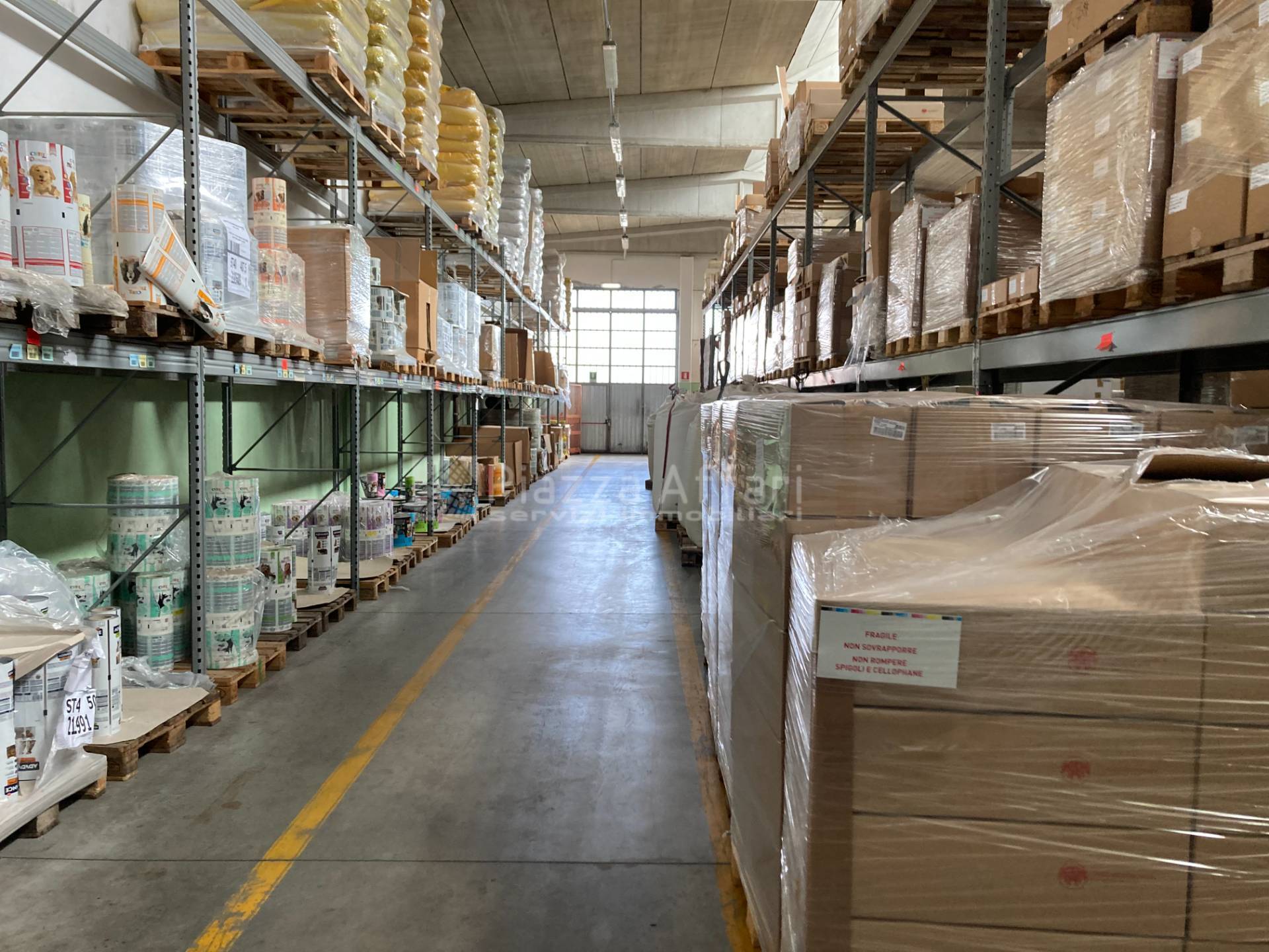 immagine annuncio 2 di 12