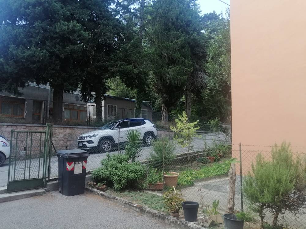 immagine annuncio 9 di 12