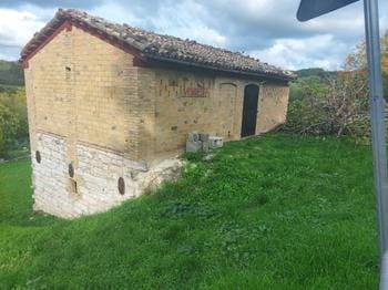 immagine annuncio 2 di 11