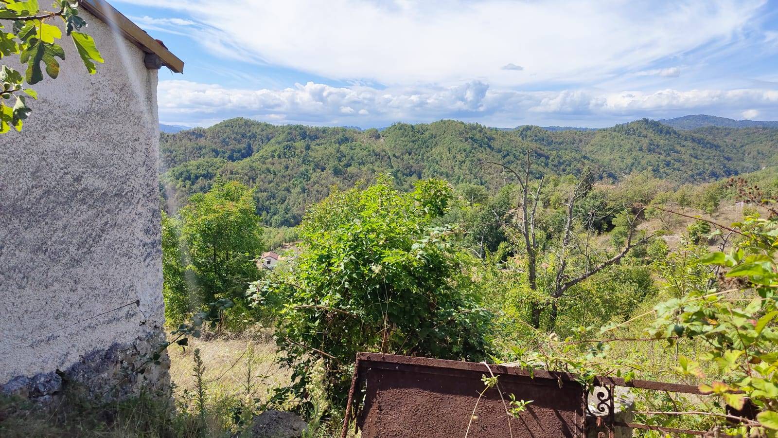 immagine annuncio 6 di 14