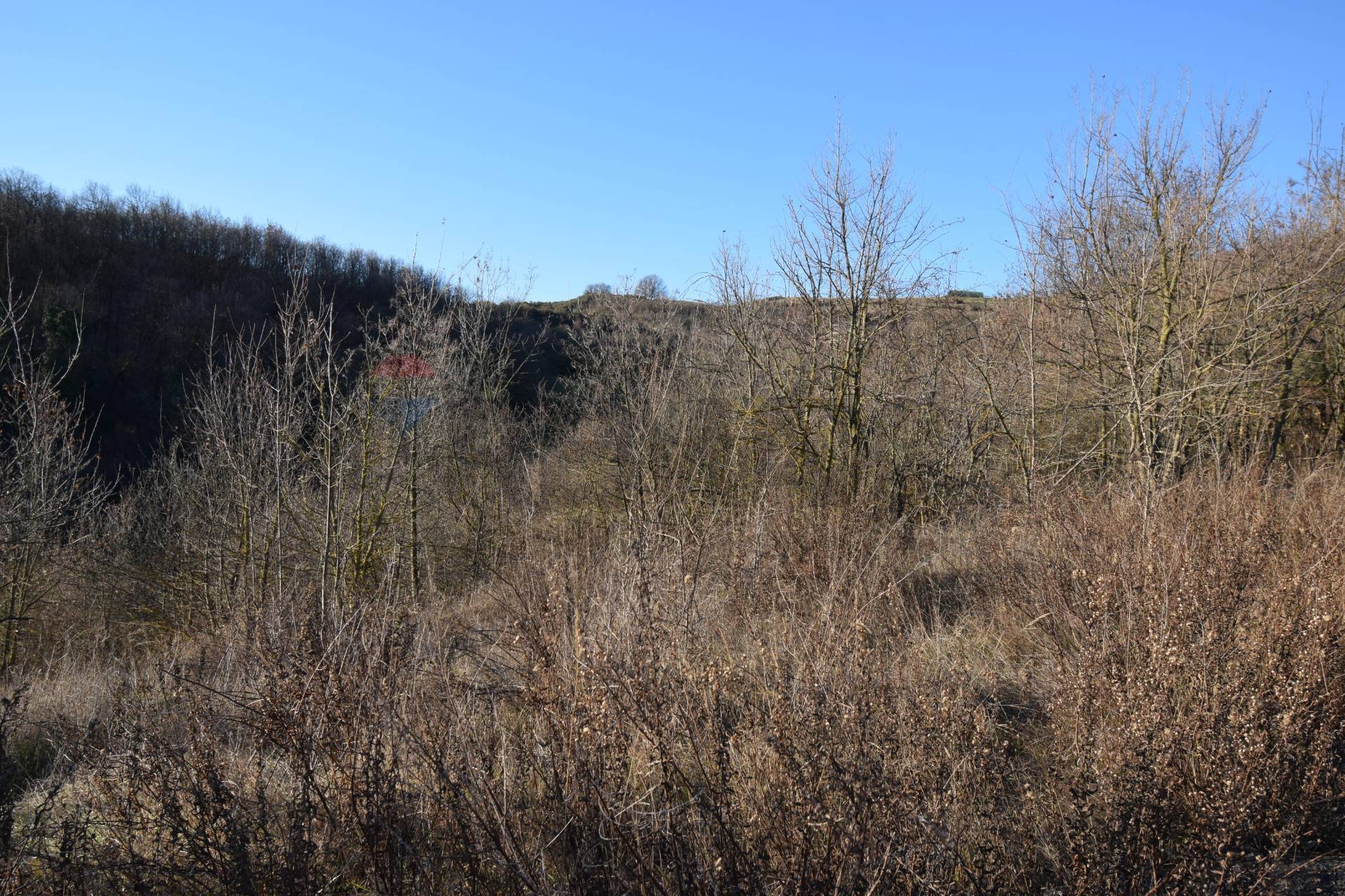 immagine annuncio 3 di 9