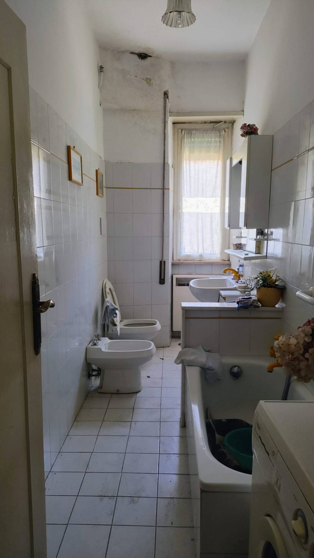 immagine annuncio 8 di 14