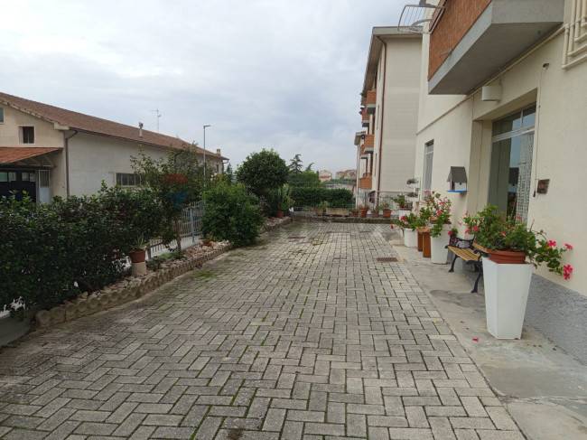 immagine annuncio 7 di 12