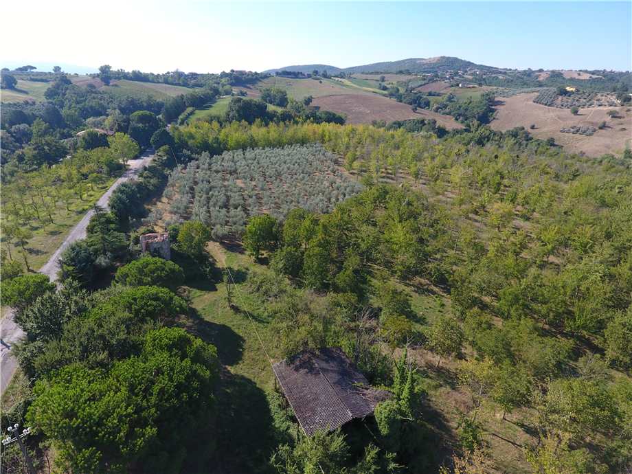 immagine annuncio 10 di 14