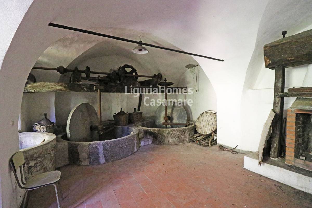 immagine annuncio 6 di 9