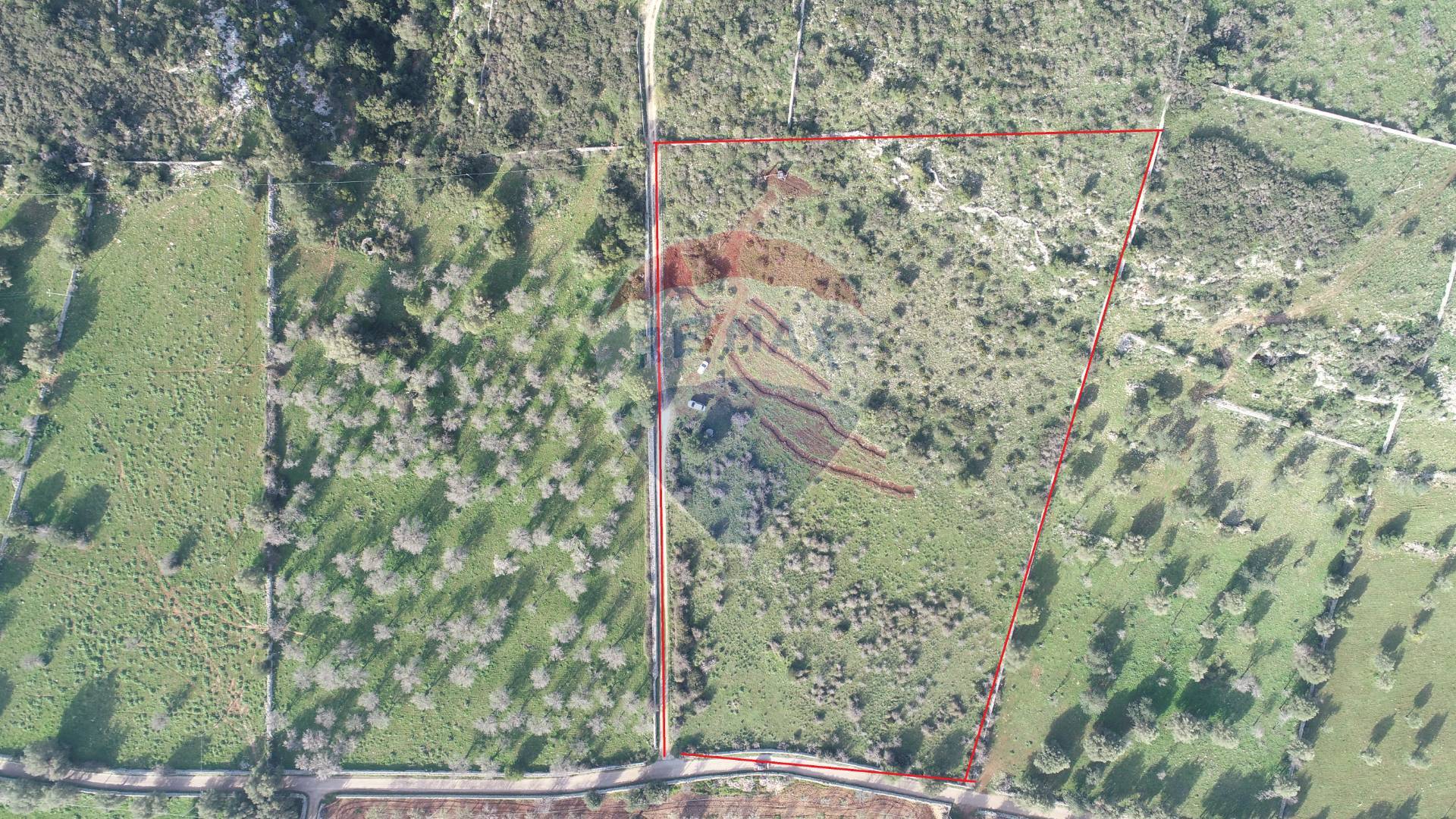 terreno agricolo in vendita a Noto