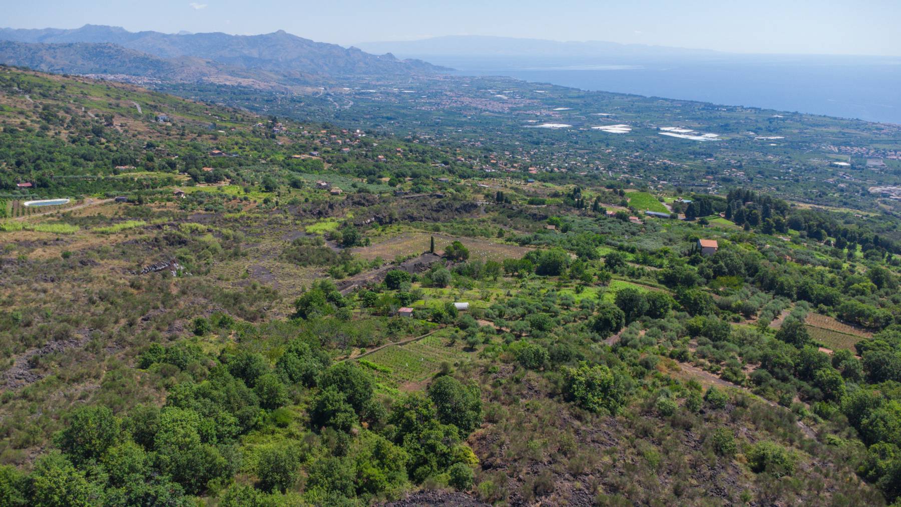 terreno agricolo in vendita a Mascali