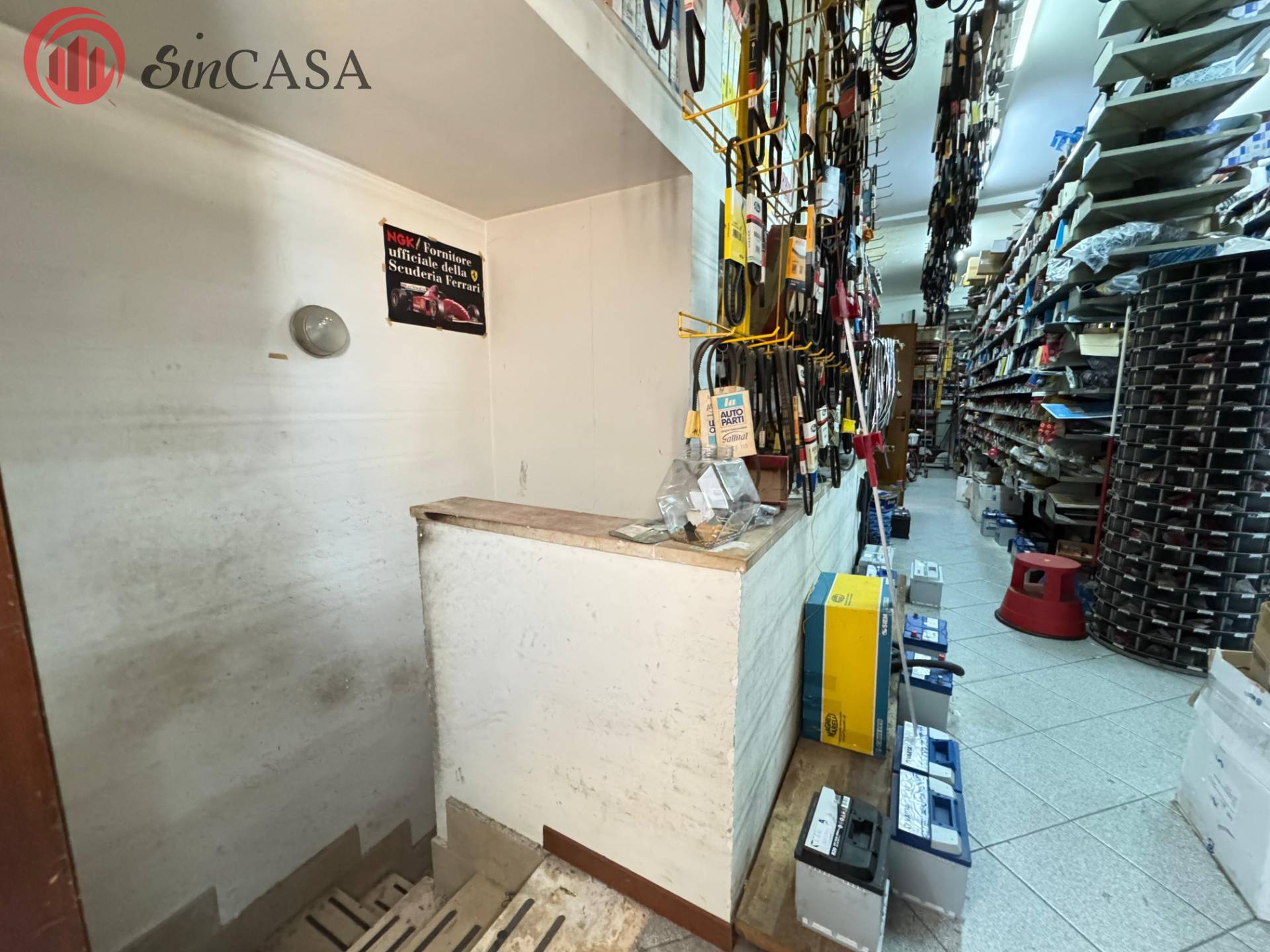 immagine annuncio 12 di 15