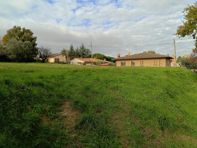 immagine annuncio 2 di 4