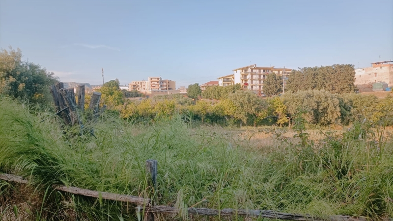 terreno agricolo in vendita a Floridia